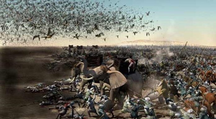 Incidents before the birth of our Holy Prophetﷺ