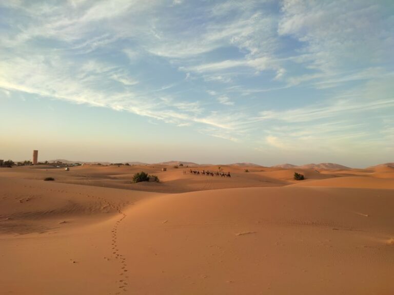 Life of Prophet Nuh and His Call to Tawheed