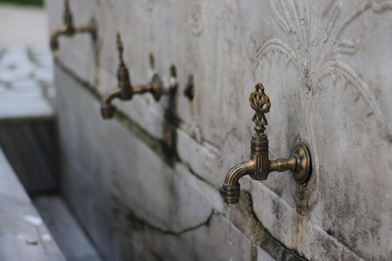 Sunnah of Wudu or Ablusion and Its Benefits