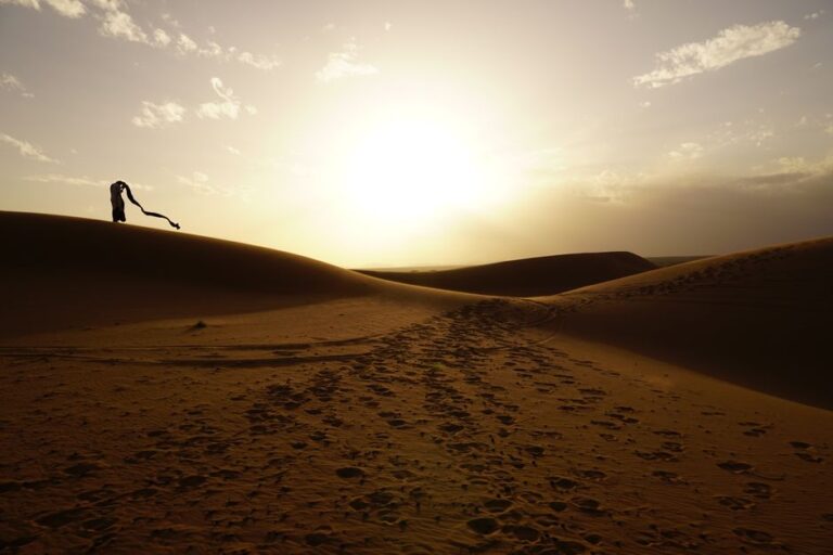 The Patience of Prophet Ayyub During Hardship