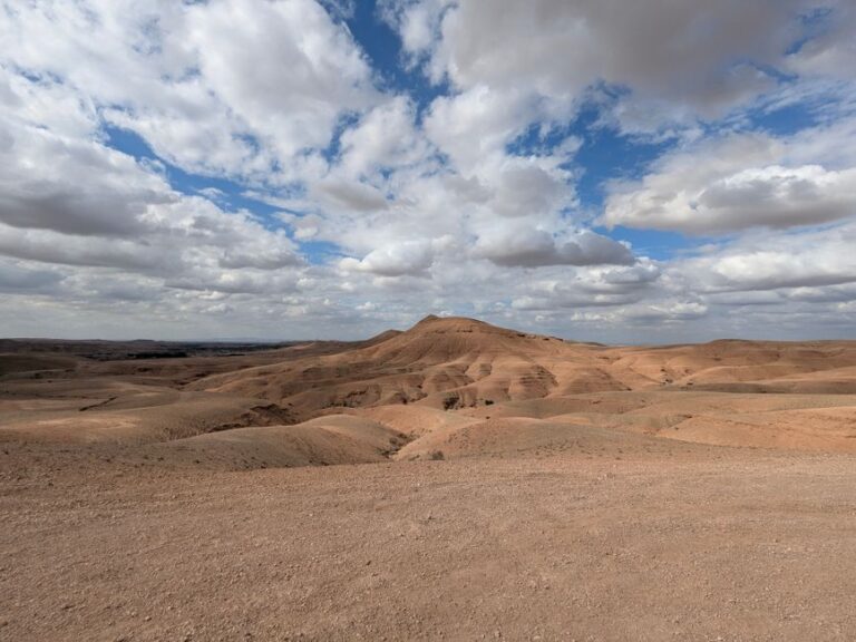 Prophet Salih and the Miracle of the She-Camel