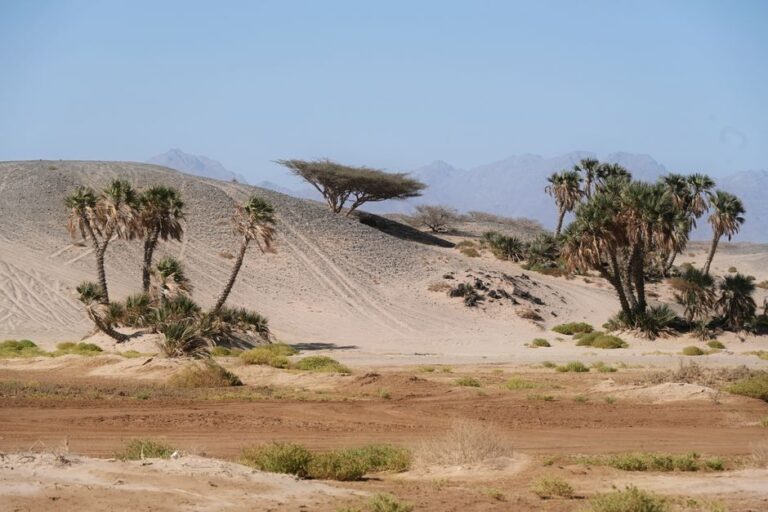 The Story of Prophet Lut and His People