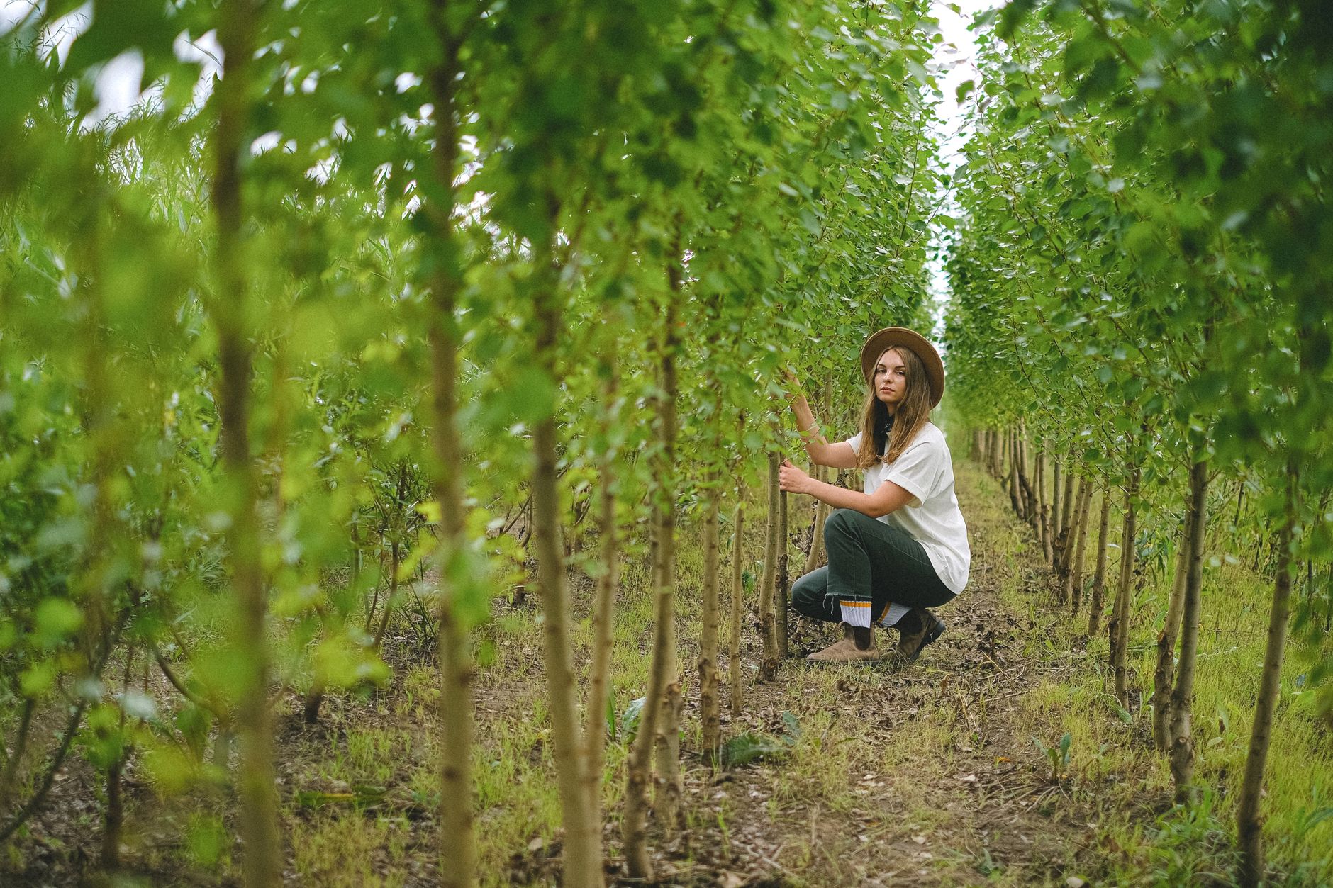 A person planting a tree while keeping the environment clean through sustainable actions.