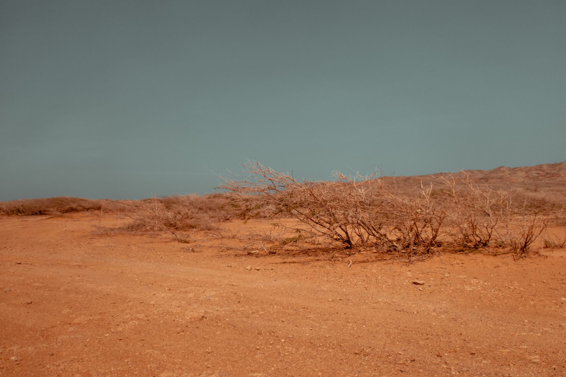A vast desert landscape representing the plains of Arafat during Hajj.