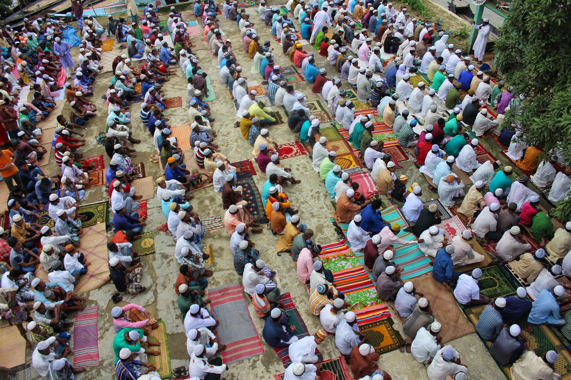 A bowl of fresh water for animals, practicing kindness to animals in Islam.